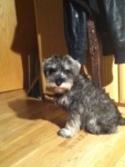 lreilly´s avatar