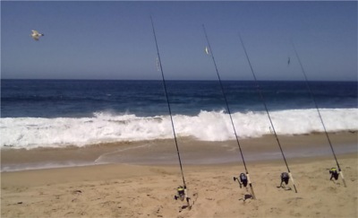Fishing in Spain