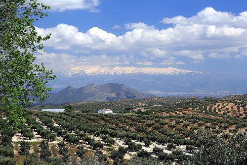 Sierra Nevada