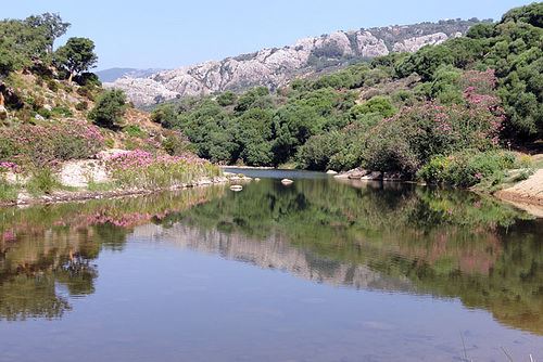 morning walk along the Río Hozgarganta in June