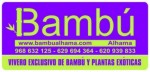 BAMBUALHAMA´s avatar