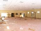 Photo of Aureus community. <br /><em> Aureus community, taken on 24 February 2007 by Spanish buyer</em>