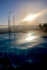 Swimming into the sunset