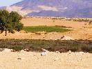 Photo of Condado de Alhama community. <br /><em> Condado de Alhama community, taken on 21 November 20 by Plumber Paul</em>