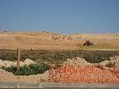 Photo of Condado de Alhama community. <br /><em> Condado de Alhama community, taken on 15 September 2008 by paulhill308</em>