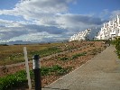 <strong>Planting/long Grass required</strong> <br /><em> Condado de Alhama community, taken on 26 May 2010 by Migde</em>