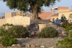 <strong>One of the Communal Garden areas on Camposol</strong> <br /><em> Camposol community, taken on 27 September 2015 by Sinbad</em>
