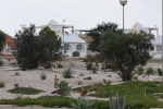 <strong>One of the many communal garden areas</strong> <br /><em> Camposol community, taken on 29 September 2015 by Sinbad</em>