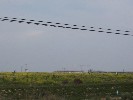 <strong>Corvera Airport - control tower on left, terminals to the right</strong> <br /><em> Corvera Golf And Country Club community, taken on 13 March 2010 by Anjinsan</em>