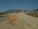 Photo of Don Juan community. <br /><em> Don Juan community, taken on 13 July 2007 by max!</em>