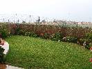 Photo of Don Juan community. <br /><em> Don Juan community, taken on 01 January 2008 by eoin</em>