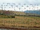 Photo of Fuente de Piedra Townhouses community. <br /><em> Fuente de Piedra Townhouses community, taken on 01 January 2007 by angelajane</em>