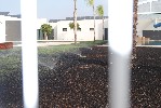 <strong>landscaping of pool area</strong> <br /><em> Hacienda San Cayetano community, taken on 29 June 2011 by mobailey</em>