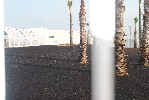 <strong>landscaping of pool area</strong> <br /><em> Hacienda San Cayetano community, taken on 29 June 2011 by mobailey</em>