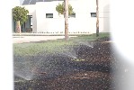 <strong>landscaping of pool area</strong> <br /><em> Hacienda San Cayetano community, taken on 29 June 2011 by mobailey</em>