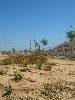 Photo of Hacienda San Cayetano community. <br /><em> Hacienda San Cayetano community, taken on 18 August 2009 by Lisa & Mark</em>