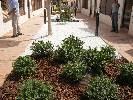 Photo of Hacienda San Cayetano community. <br /><em> Hacienda San Cayetano community, taken on 25 July 2009 by cricket fan</em>