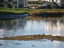 <strong>Photo of Hacienda Riquelme Golf Resort - No description provided</strong> <br /><em> Hacienda Riquelme Golf Resort community, taken on 31 October 2009 by PaulandJane</em>