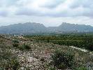 Photo of La Matanza  community. <br /><em> La Matanza  community, taken on 15 April 2007 by jayne13</em>