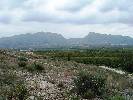 Photo of La Matanza  community. <br /><em> La Matanza  community, taken on 15 April 2007 by jayne13</em>