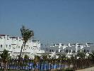 Photo of Jardines de Alhama community. <br /><em> Jardines de Alhama community, taken on 12 August 200 by JHMurcia</em>