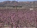 Photo of La Canada Tierra del Sol community. <br /><em> La Canada Tierra del Sol community, taken on 01 March 2008 by jaybe23</em>