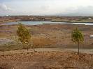 Photo of Los Naranjos de Alhama community. <br /><em> Los Naranjos de Alhama community, taken on 20 February 2009 by Kev1</em>