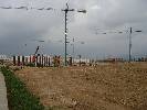 Photo of Los Naranjos de Alhama community. <br /><em> Los Naranjos de Alhama community, taken on 21 October 2008 by Kev1</em>