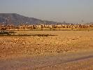 Photo of Los Naranjos de Alhama community. <br /><em> Los Naranjos de Alhama community, taken on 20 February 2009 by Kev1</em>