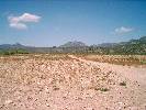 Photo of Nature Caravaca de la Cruz community. <br /><em> Nature Caravaca de la Cruz community, taken on 11 August 2006 by proutma</em>