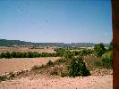 Photo of Nature Caravaca de la Cruz community. <br /><em> Nature Caravaca de la Cruz community, taken on 11 August 2006 by proutma</em>