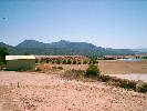 Photo of Nature Caravaca de la Cruz community. <br /><em> Nature Caravaca de la Cruz community, taken on 11 August 2006 by proutma</em>