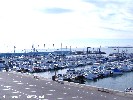 The Marina at Torri de la Horadada.