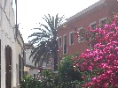 <strong>Huchillo</strong> <br /><em> Residencial Olivia community, taken on 06 June 2012 by phil bradshaw</em>