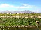 <strong>Along the Canal</strong> <br /><em> Residencial Olivia community, taken on 20 April 2012 by malachy</em>
