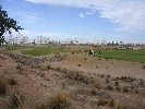<strong>Course view</strong> <br /><em> Terrazas de la Torre Golf Resort community, taken on 05 November 2012 by SlimChim</em>