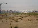 <strong>6th Hole</strong> <br /><em> Terrazas de la Torre Golf Resort community, taken on 04 December 2009 by TerrazasGM</em>