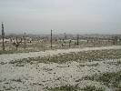 Photo of Trampolin Hills community. <br /><em> Trampolin Hills community, taken on 23 April 2007 by tomhants</em>