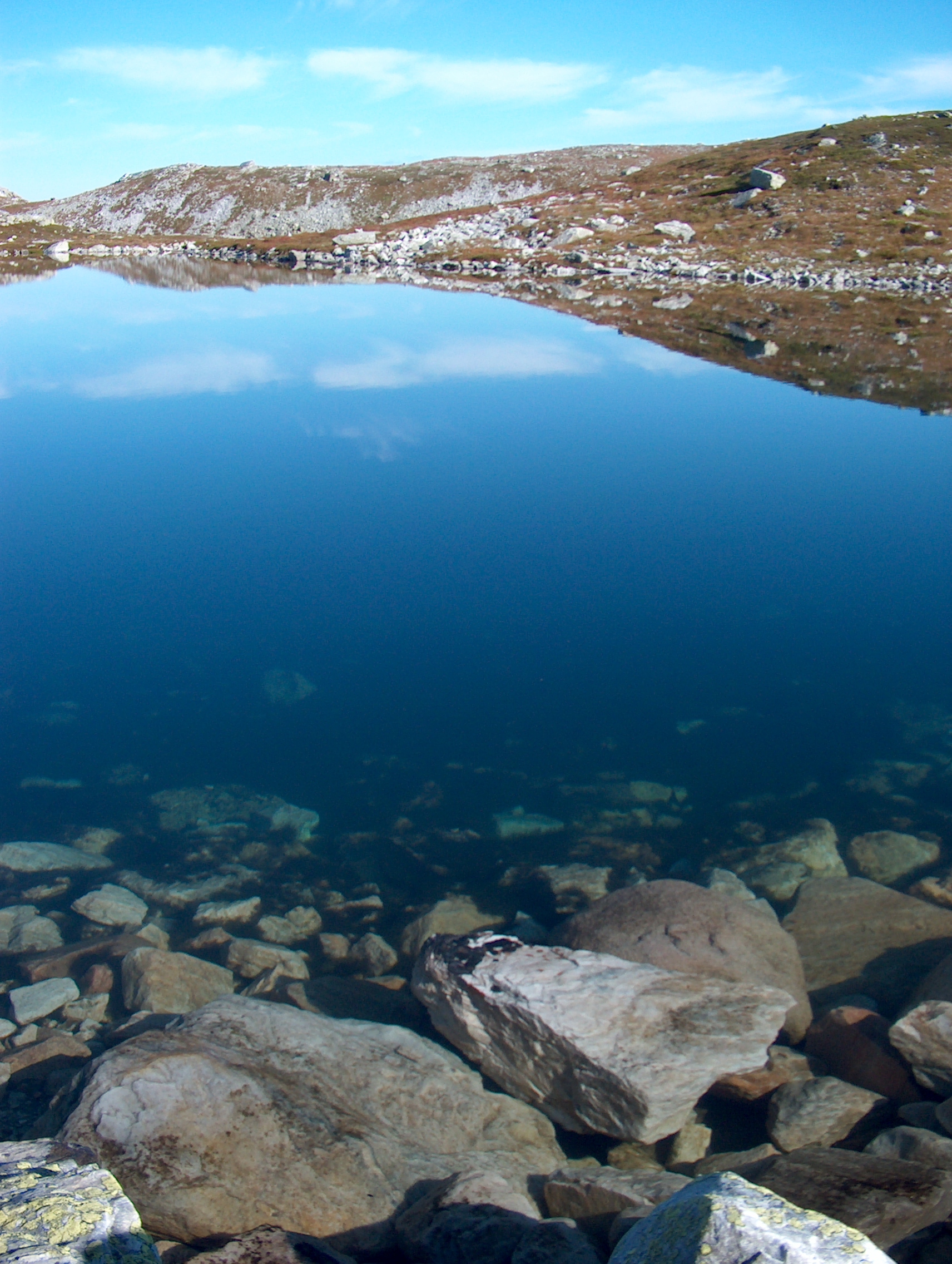 a bite of norwegian nature