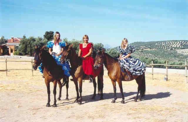 Horse riding on the farm