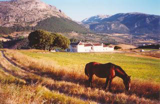 Cortijo los lobos