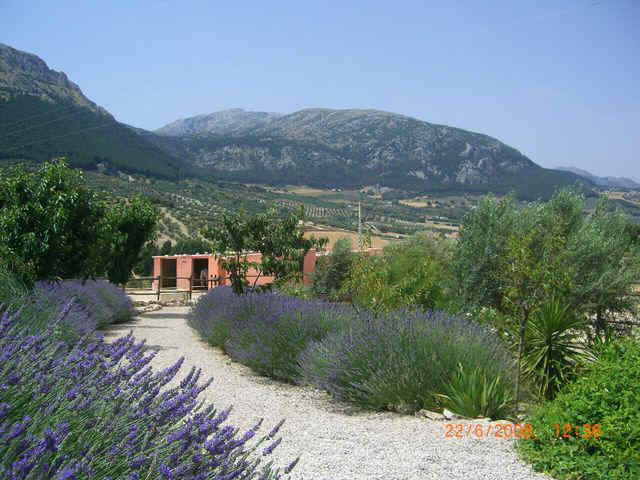 Cortijo los lobos