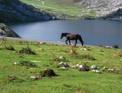 Asturias National Park