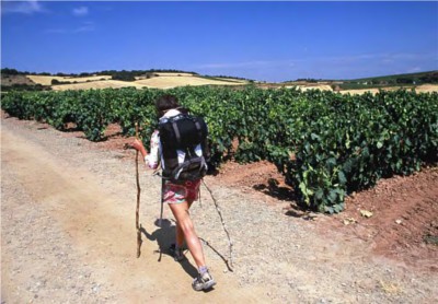 Camino de Santiago