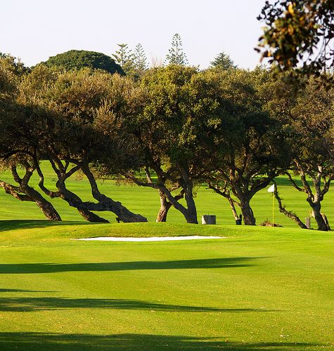 Campo de Golf - Sotogrande, Cádiz por Roberto Carlos Pecino.