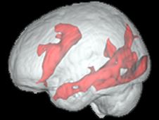 Brain activity in an experienced internet user when carrying out simple reading task