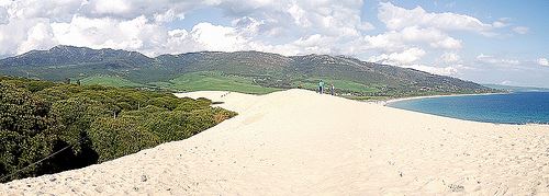 LAS DUNAS Y LOS FUTUROS PINOS DIFUNTOS