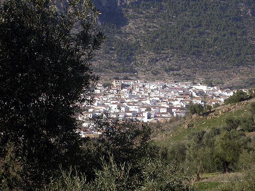 Algodonales, pueblo aceitero.