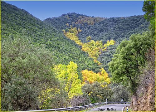 PARQUE NATURAL