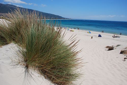 Las playas de Tarifa / Tarifa's beach por montuno.